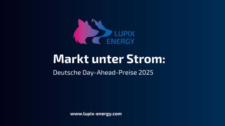 Markt unter Strom: Deutsche Day-Ahead-Preise 2025